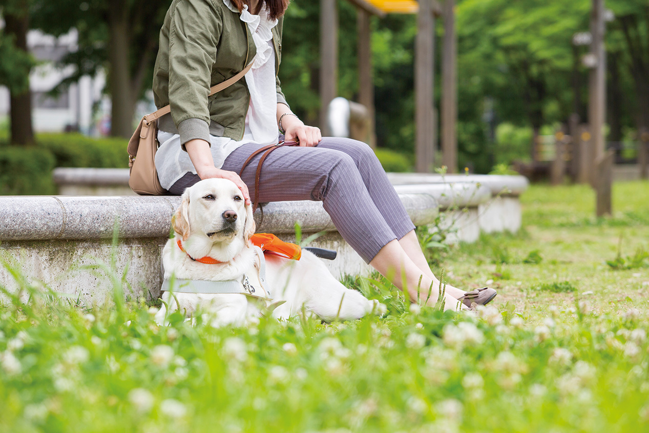 公益財団法人  日本盲導犬協会